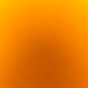 Meet your Posher, Jonsey